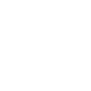escudo seguro 1